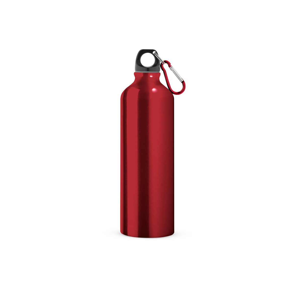 LANDSCAPE L. Aluminiowa butelka sportowa z karabińczykiem 800 ml 94688_set